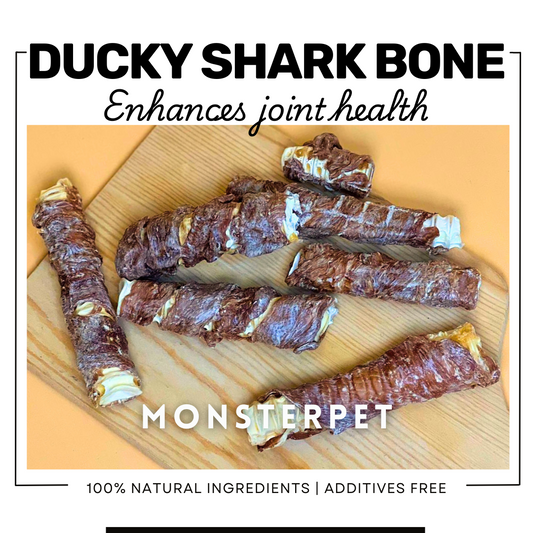 Dehydrated Ducky Shark Bone