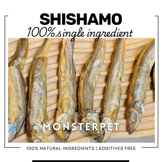 Freeze Dried Shishamo