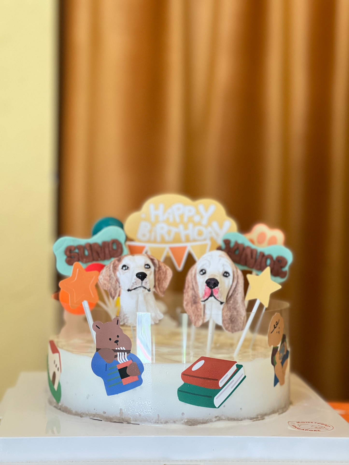 Monsterpet Lava pet cake