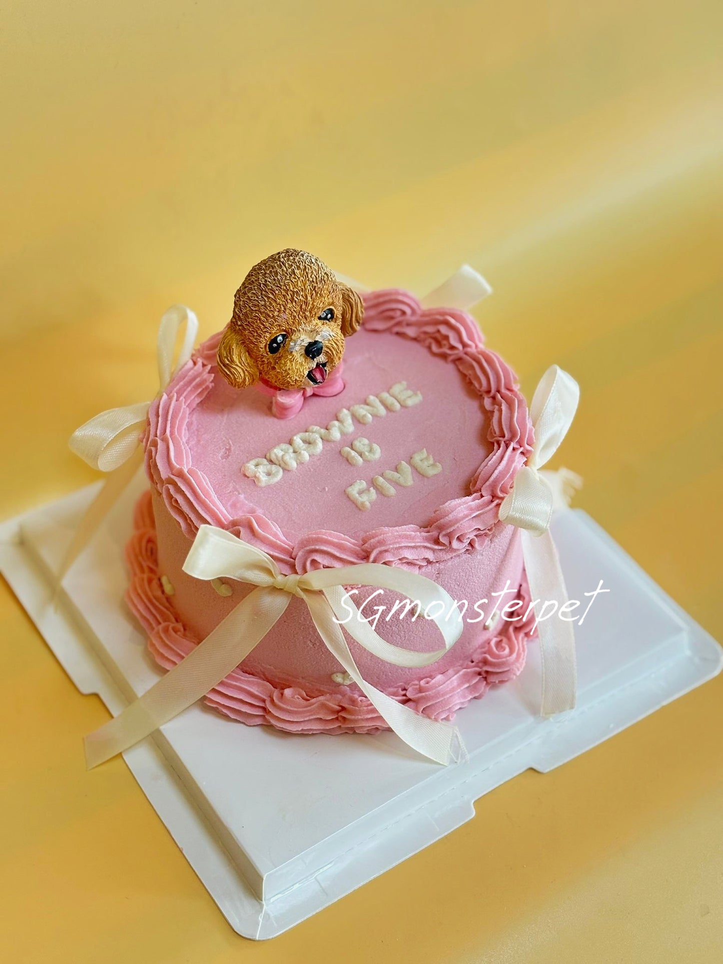 Plane Ribbon Pet Cake