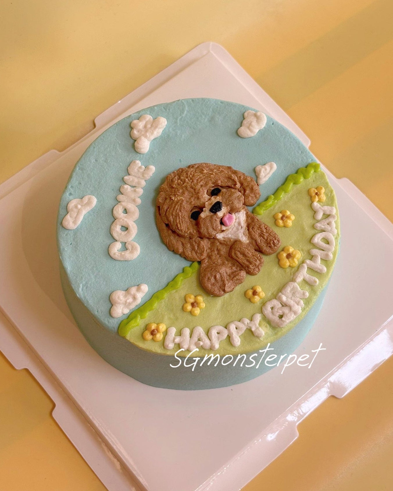 Plane Park Pet Cake