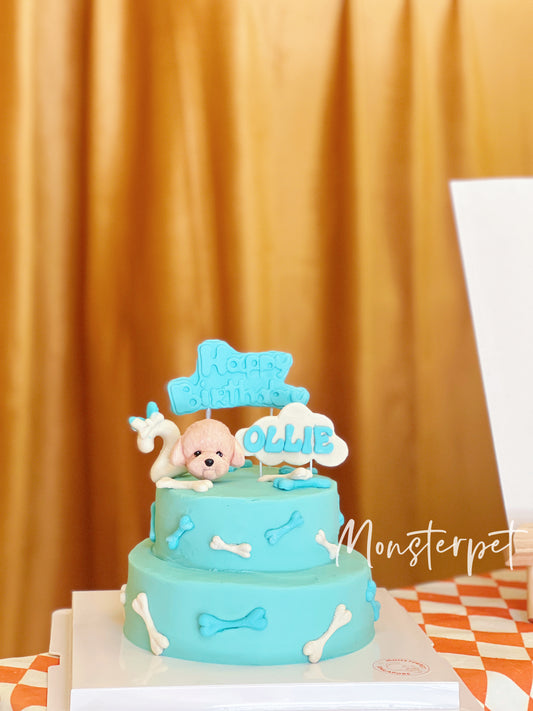 Monsterpet Crafted Pet Cake