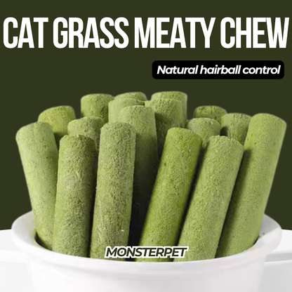 Freeze Dried Cat Grass Meaty Chew