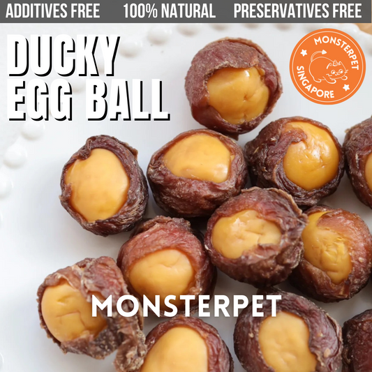 Monsterpet pet treats egg ball