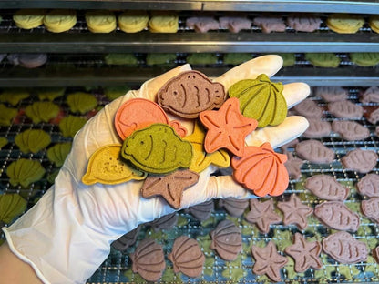 Dehydrated Salmon Ocean Biscuit