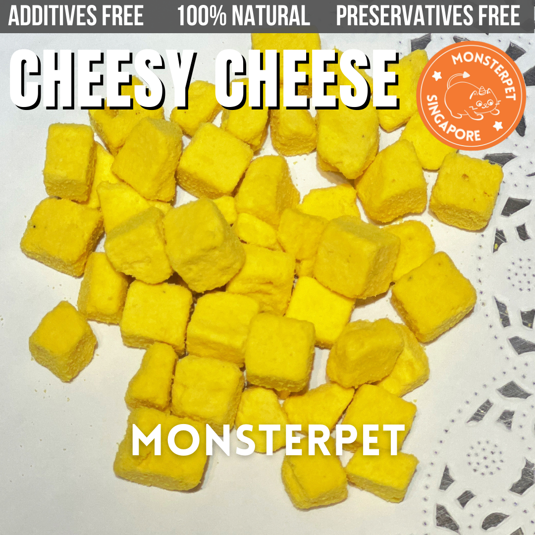 Monsterpet pet treats cheese