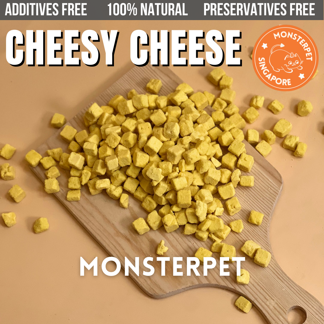 Freeze Dried Cheddar Cheese