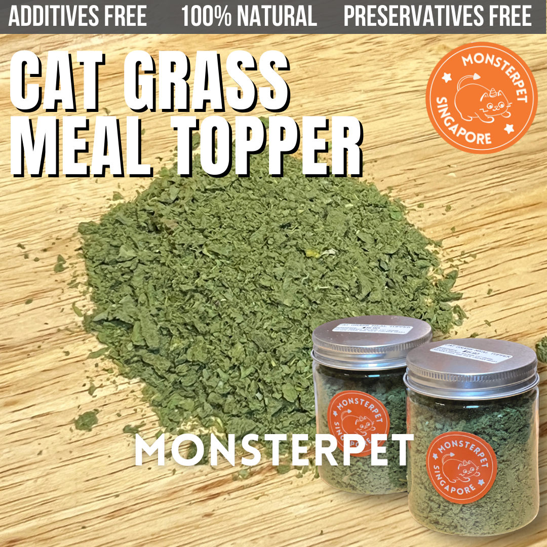 Monsterpet pet treats cat grass