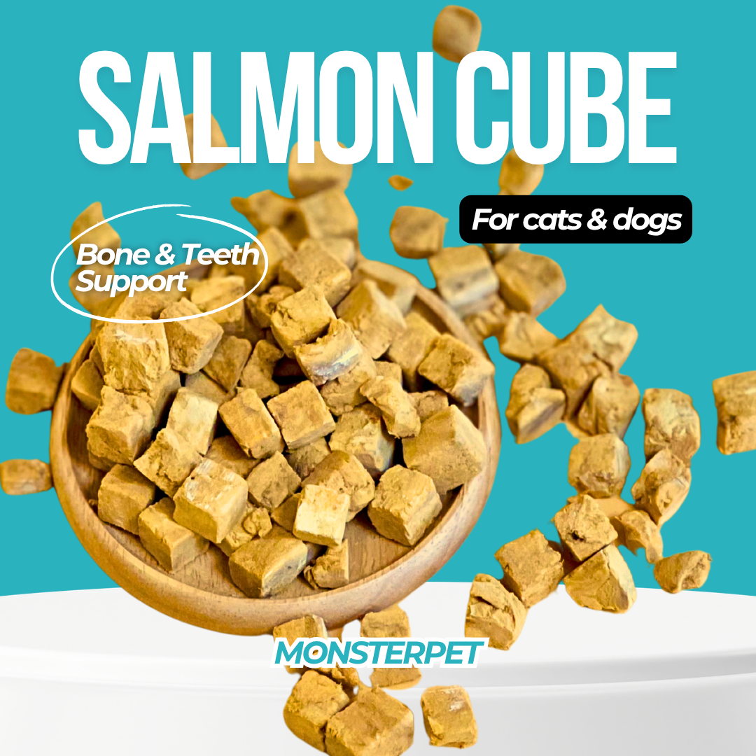 Freeze Dried Salmon Cube