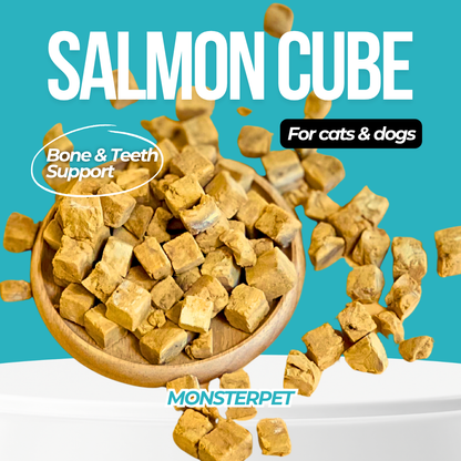 Freeze Dried Salmon Cube