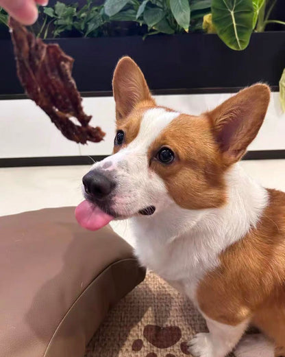 Beef jerky