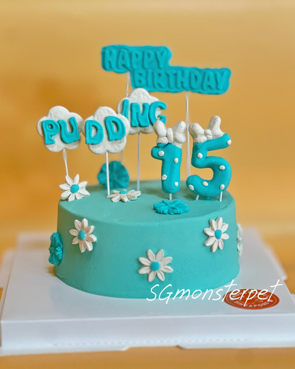 Turquoise birthday pet cake with edible decorations 