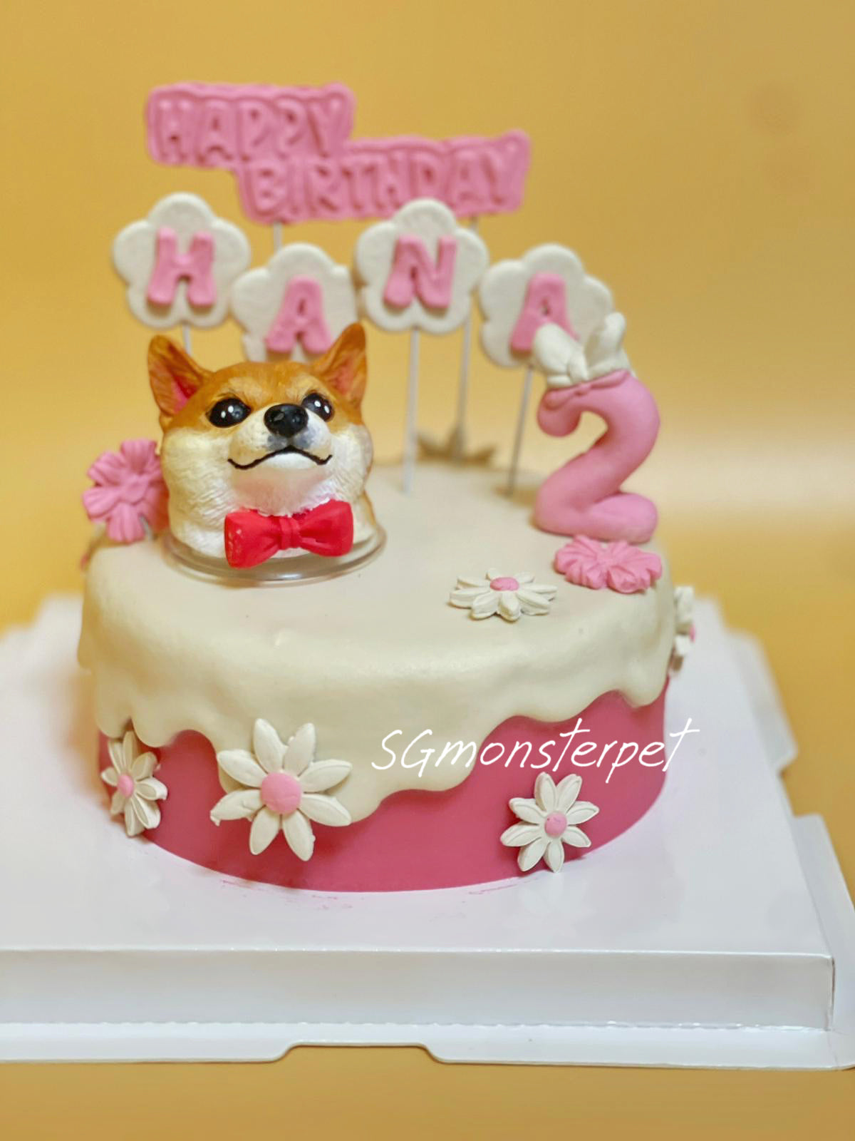 Dog-themed birthday pet cake with 'Happy Birthday Kana' topper on a yellow background