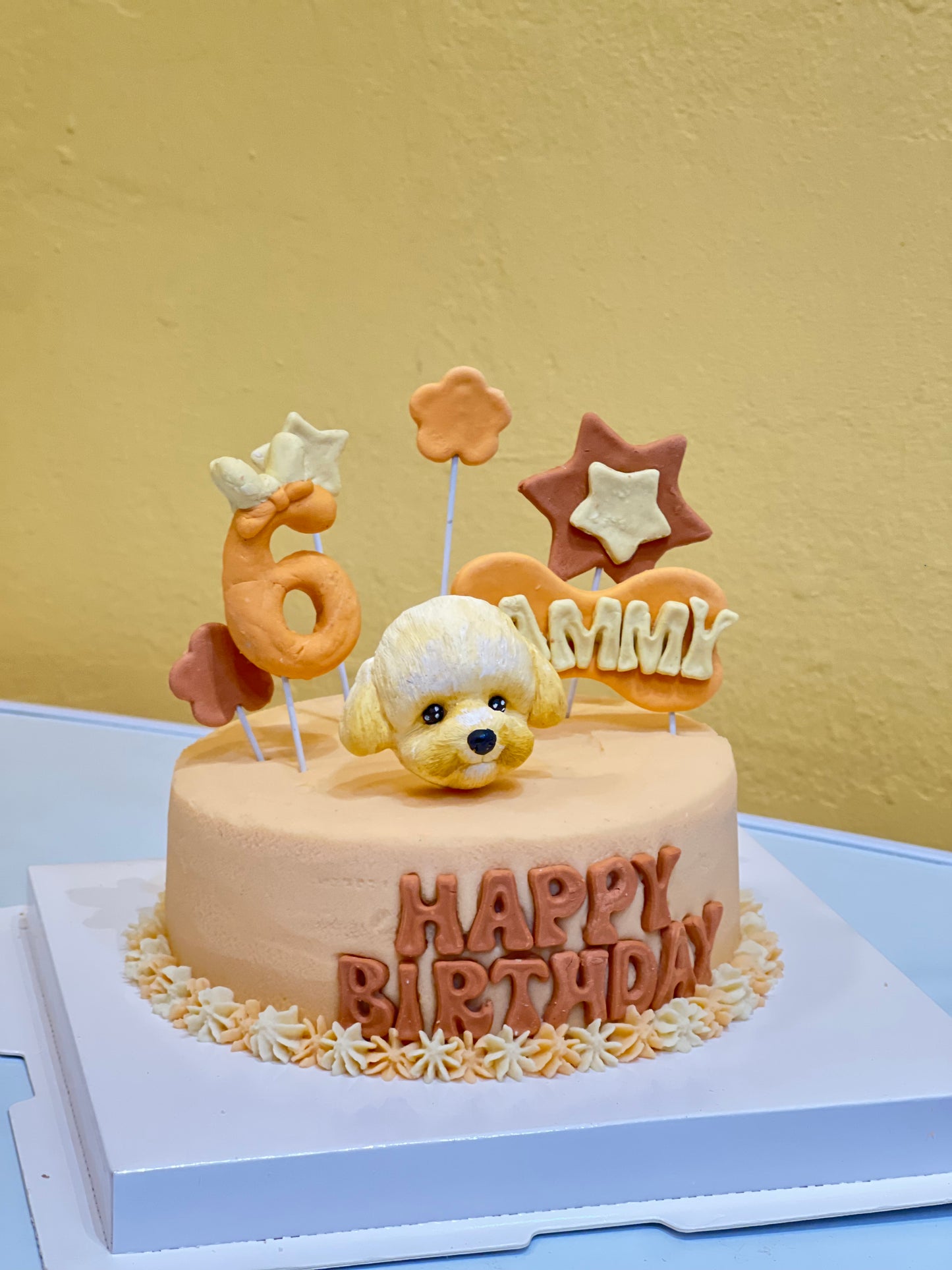 Monsterpet Pattern Crafted Pet Cake