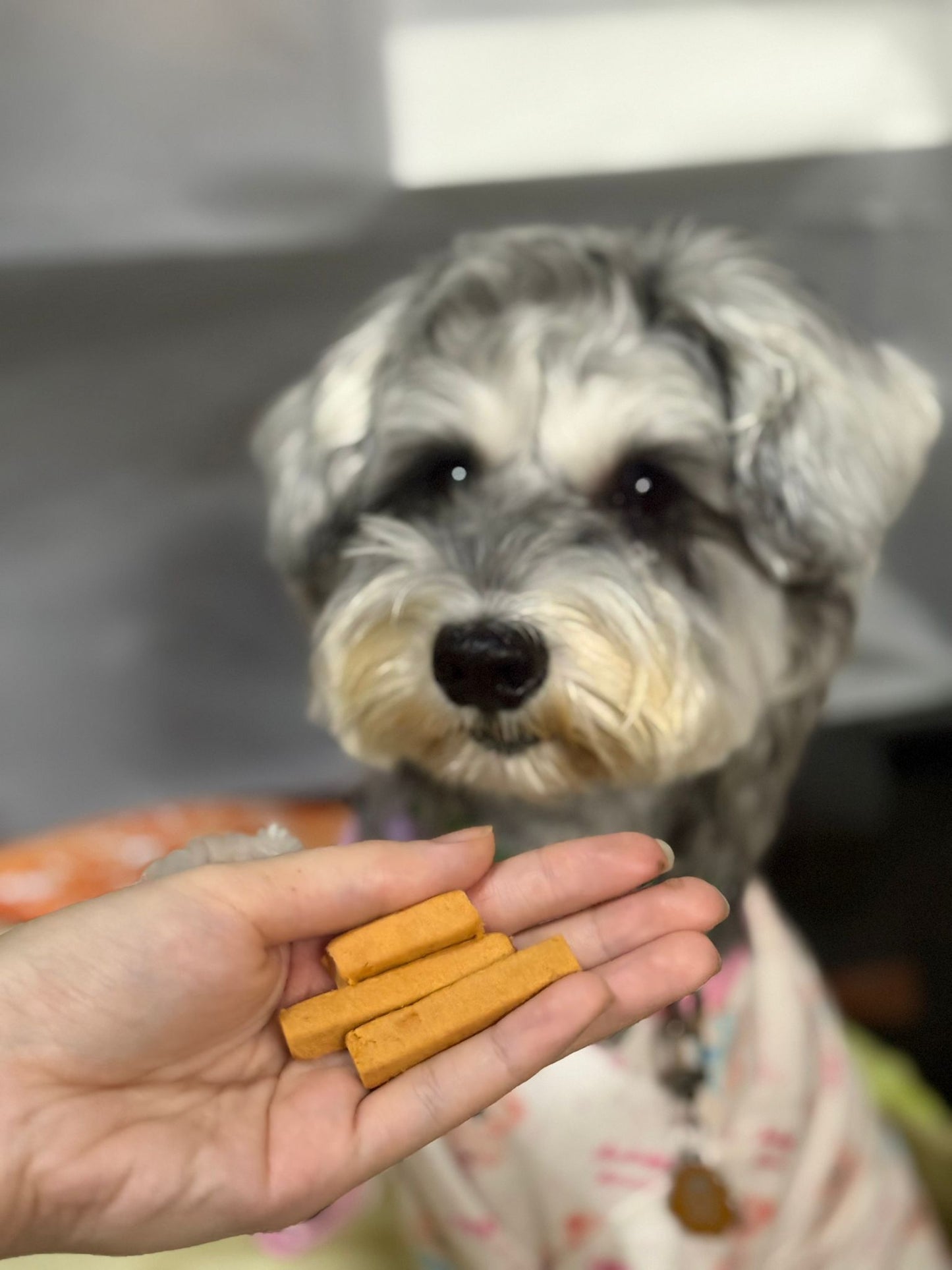 Freeze Dried Fish Fries
