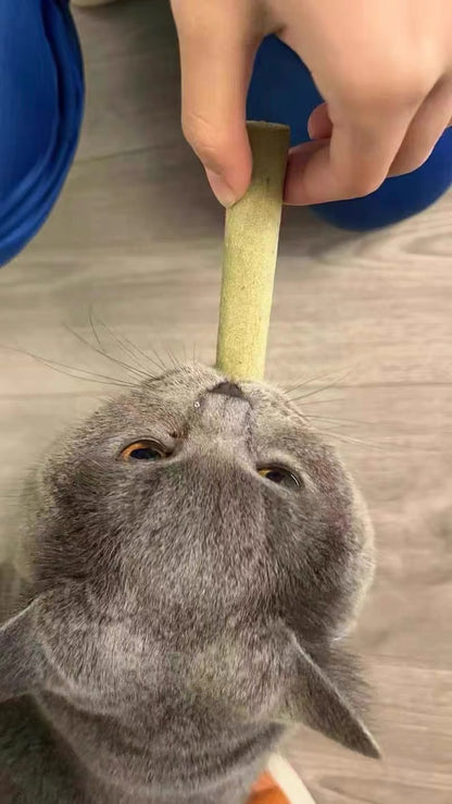 Freeze Dried Cat Grass Meaty Chew