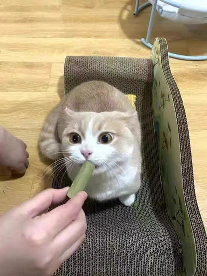 Freeze Dried Cat Grass Meaty Chew