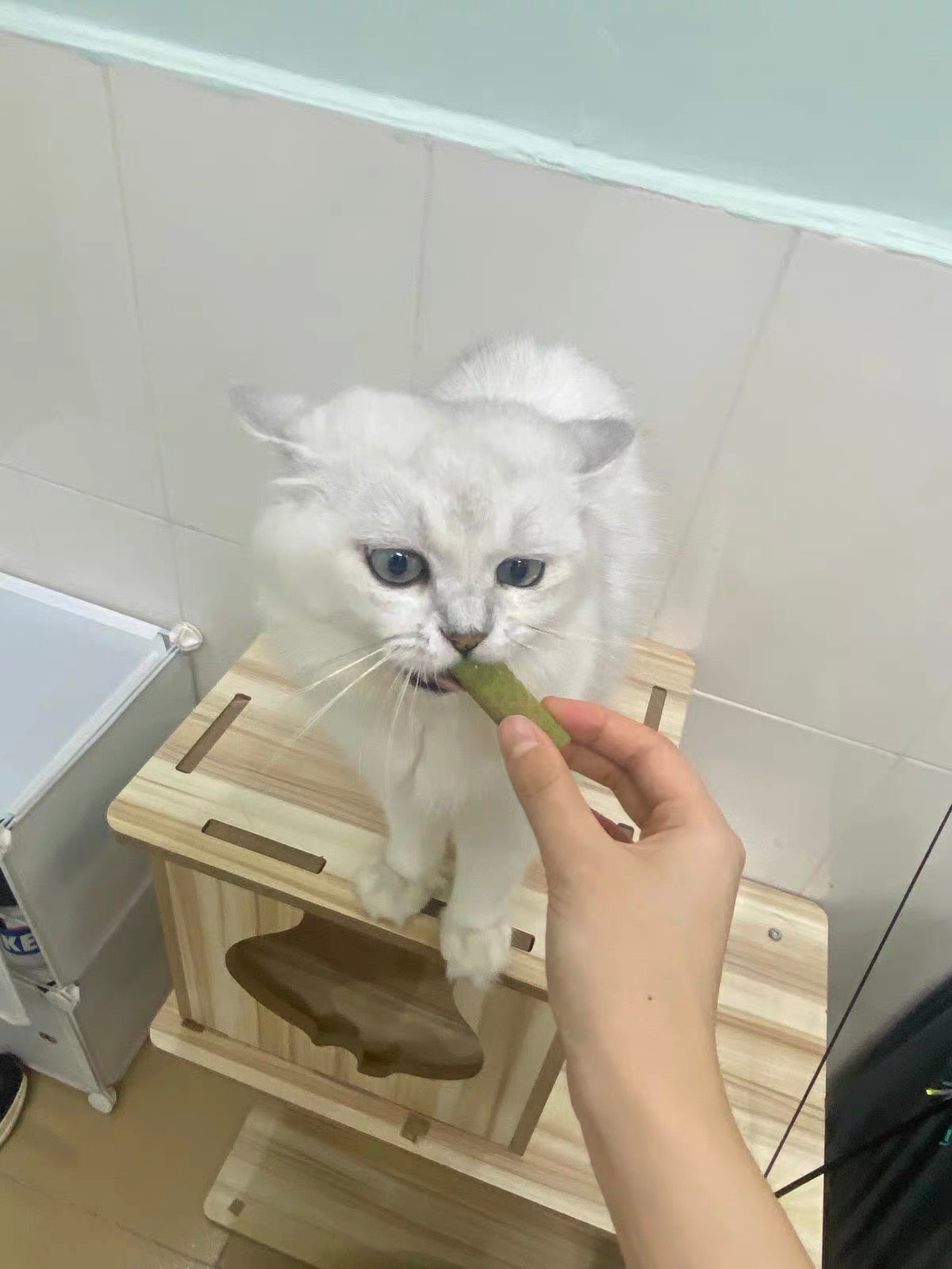 Freeze Dried Cat Grass Meaty Chew