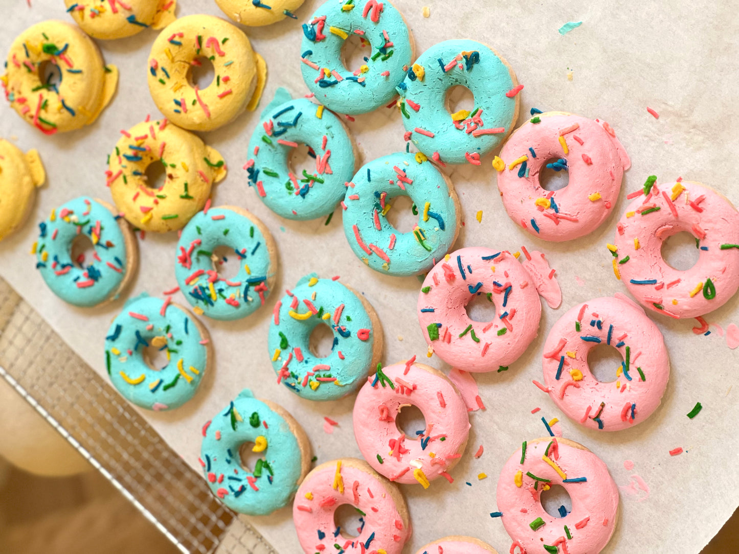 Dehydrated Salmon Donut