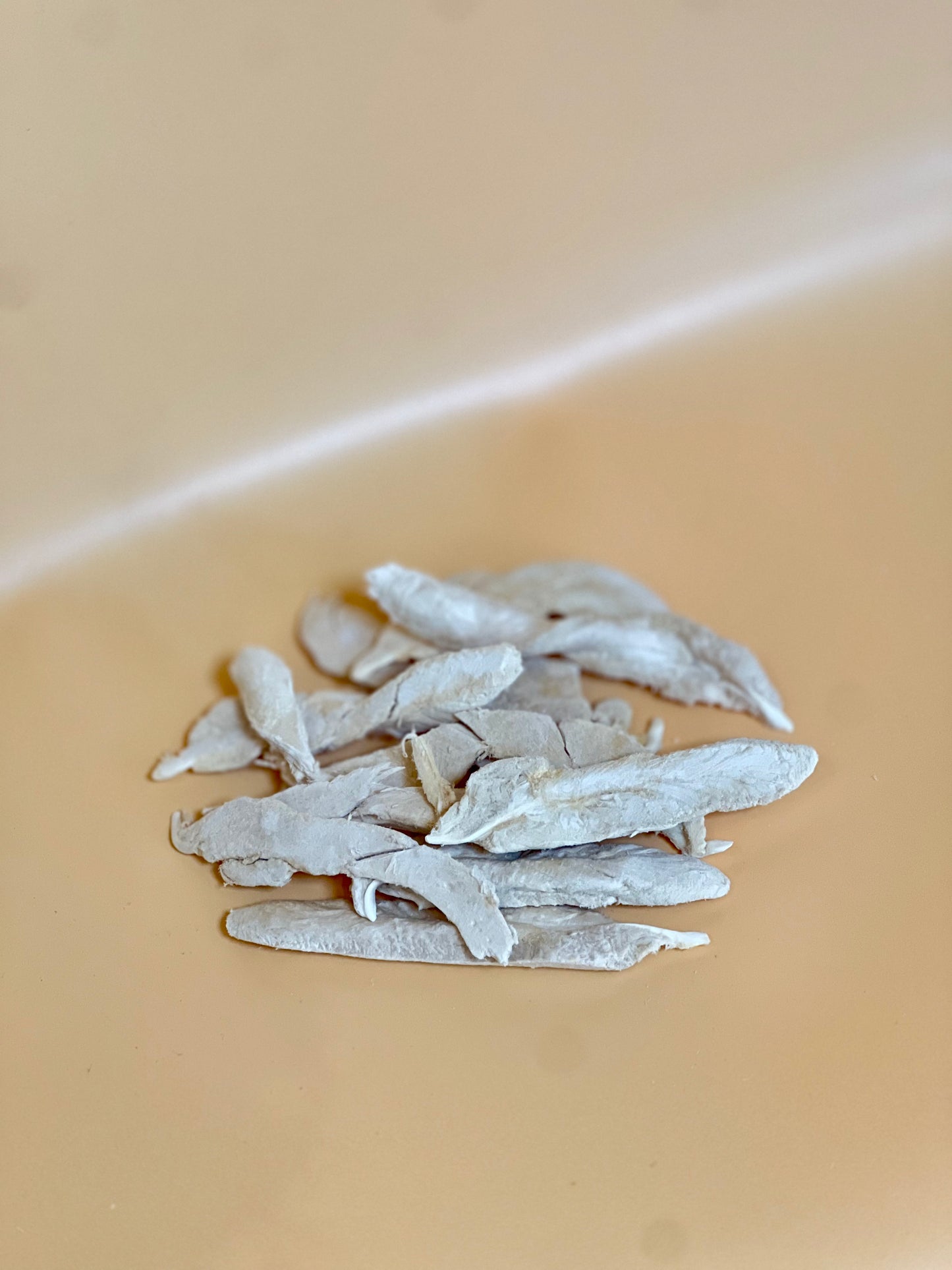 Freeze Dried Duck Filet
