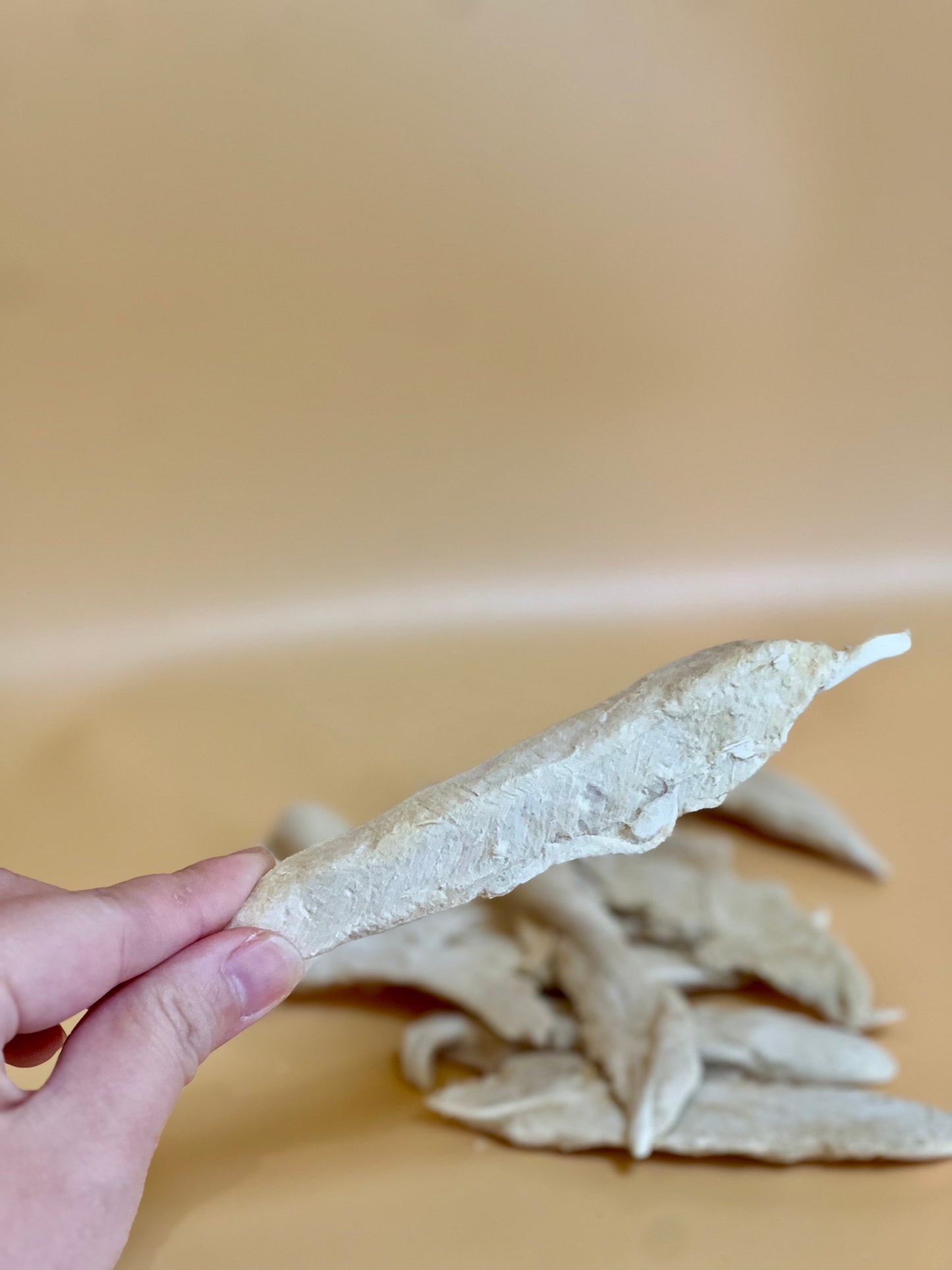 Freeze Dried Duck Filet