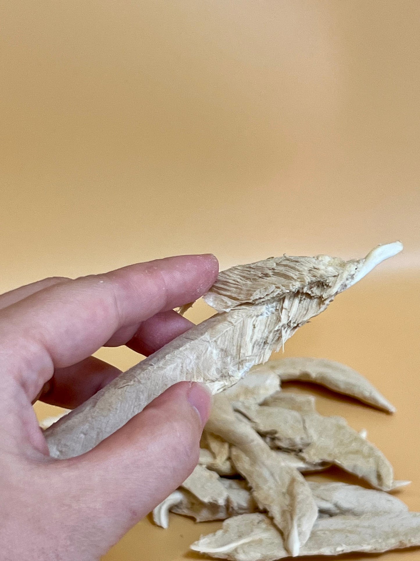 Freeze Dried Duck Filet