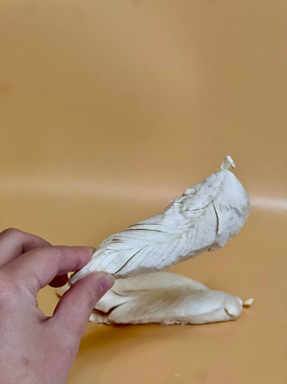 Freeze Dried Chicken Filet
