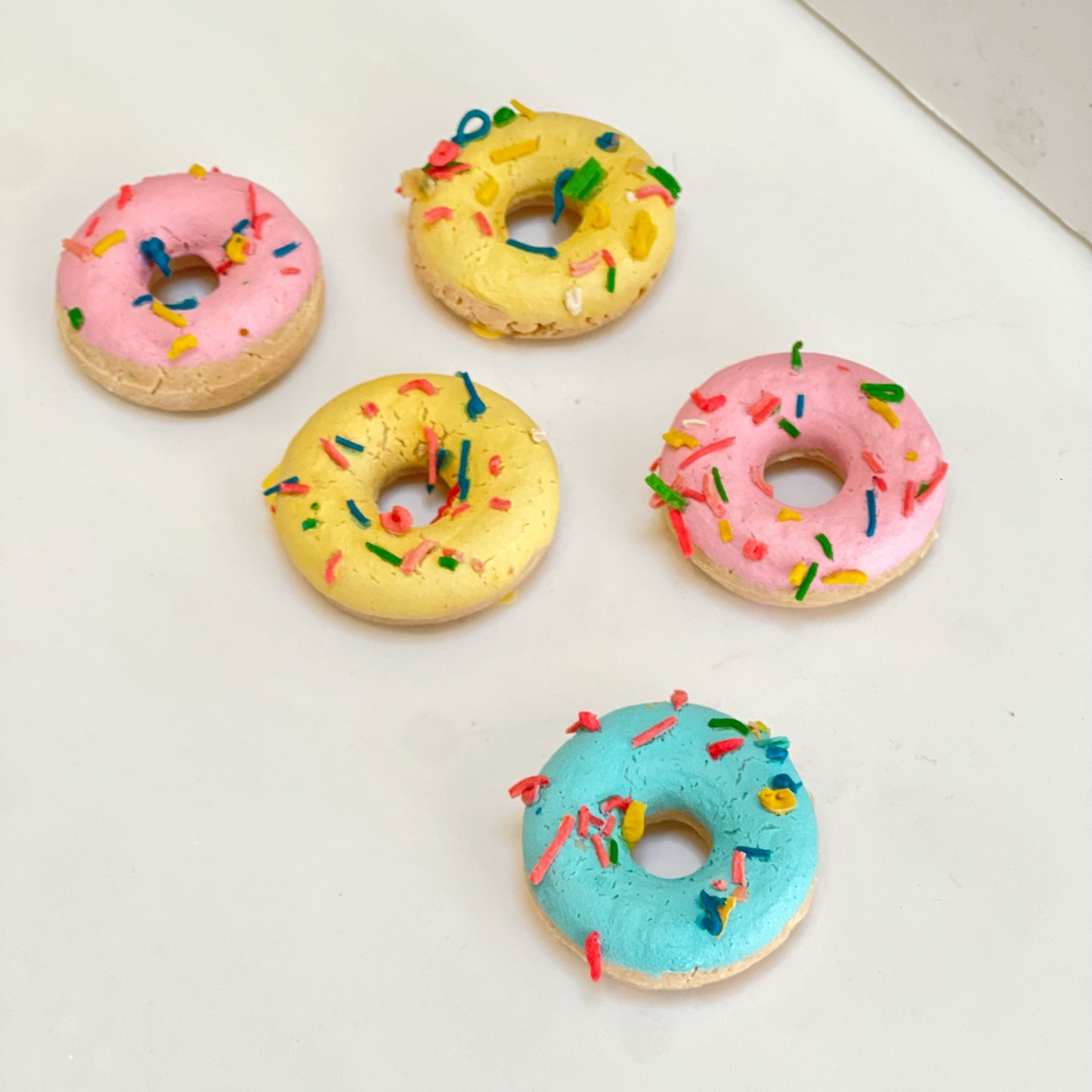 Dehydrated Salmon Donut