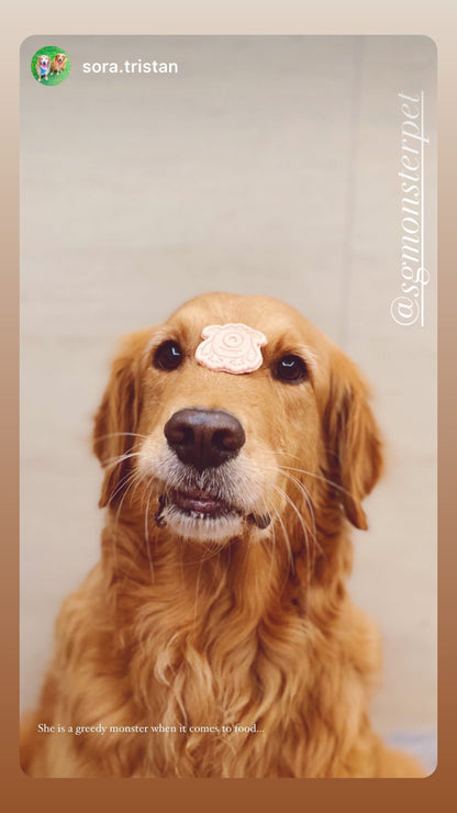 Dehydrated Signature Chicken Monster Pet Biscuit
