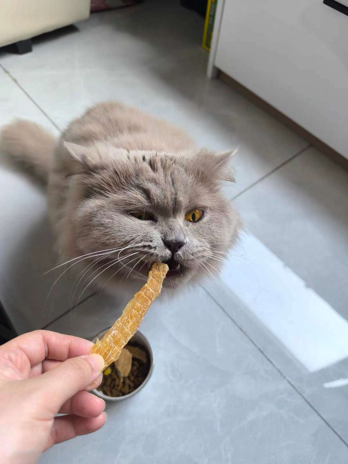 Dehydrated Chicken Jerky