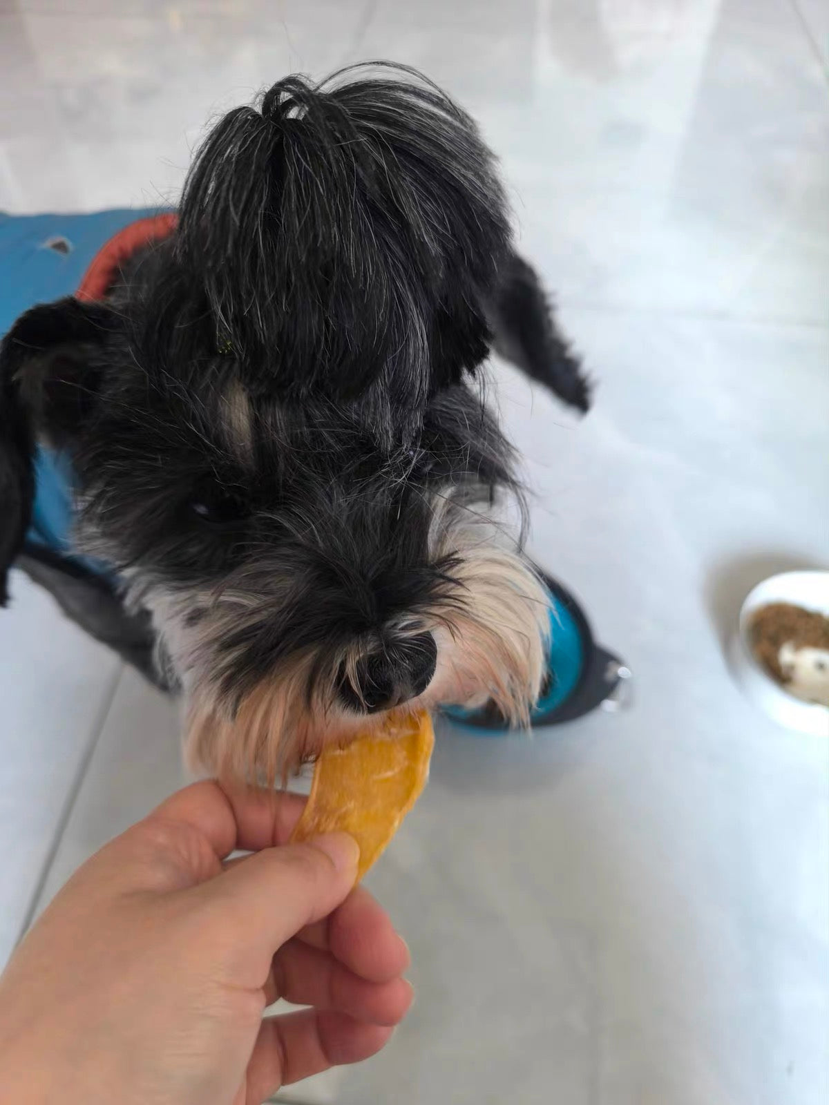 Dehydrated Chicken Jerky