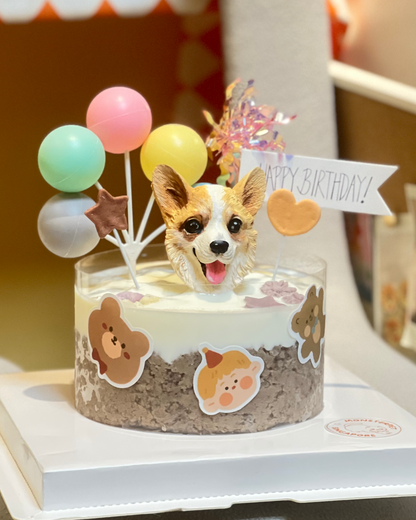Monsterpet Lava pet cake
