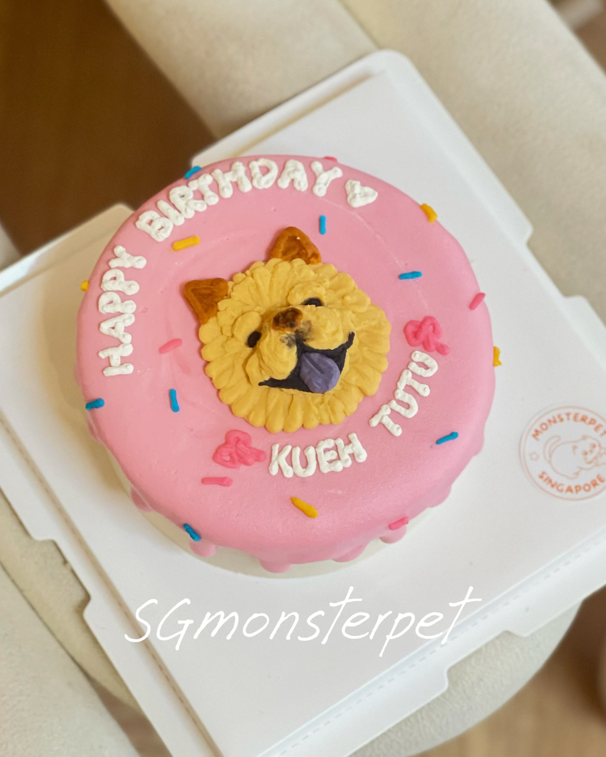 Pink birthday pet cake with a lion design on a white box, featuring 'Happy Birthday' text.