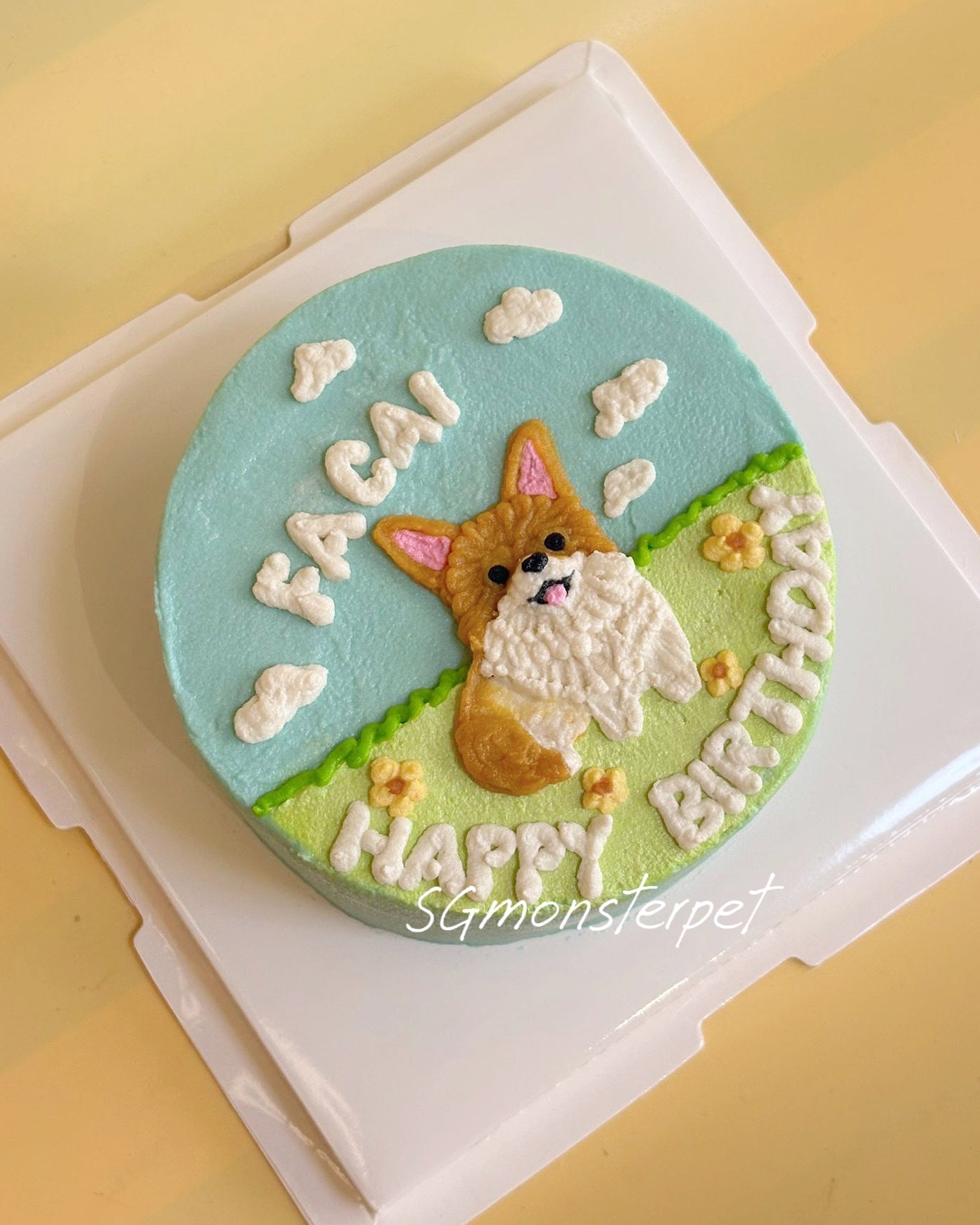 Plane Park Pet Cake