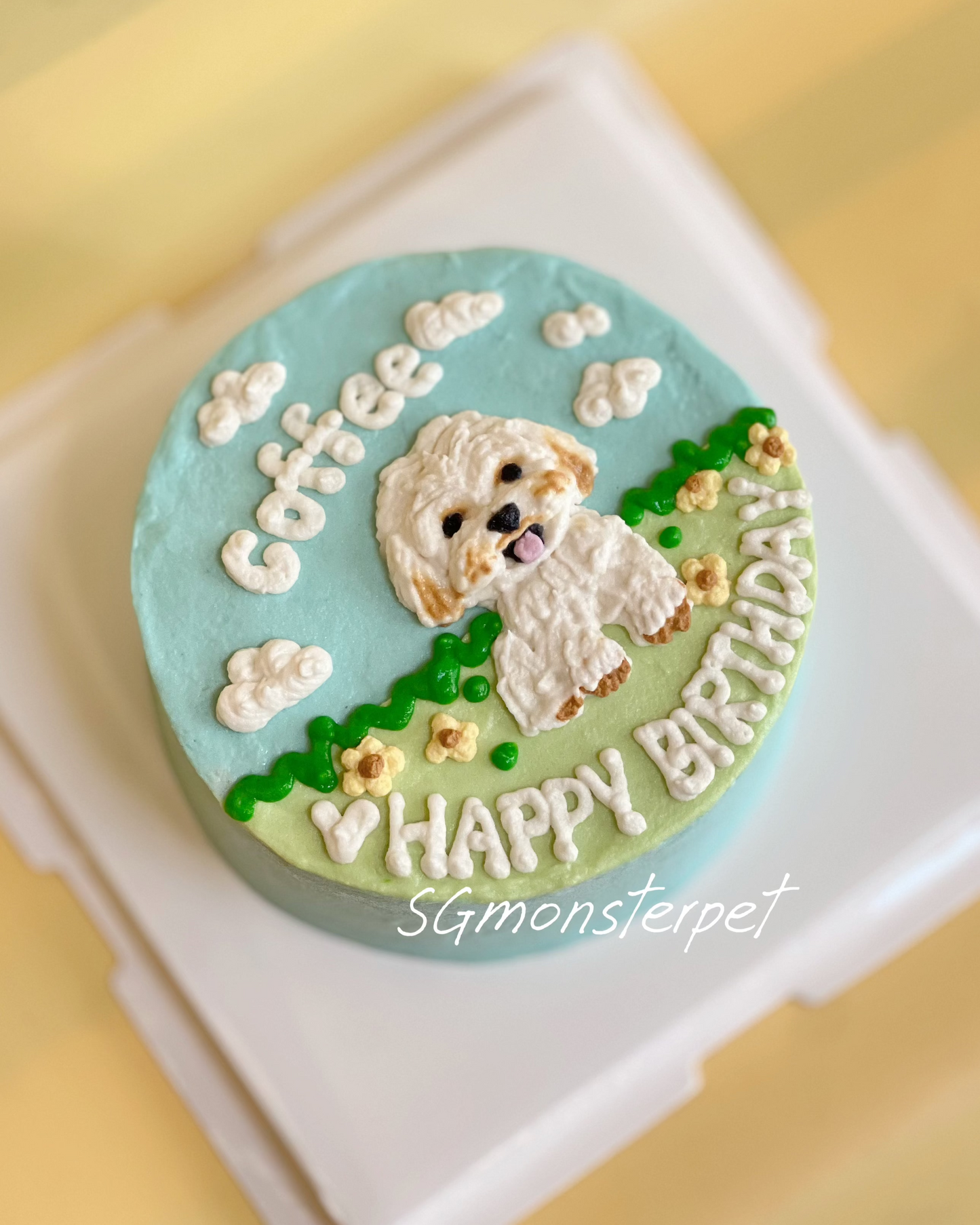Plane Park Pet Cake