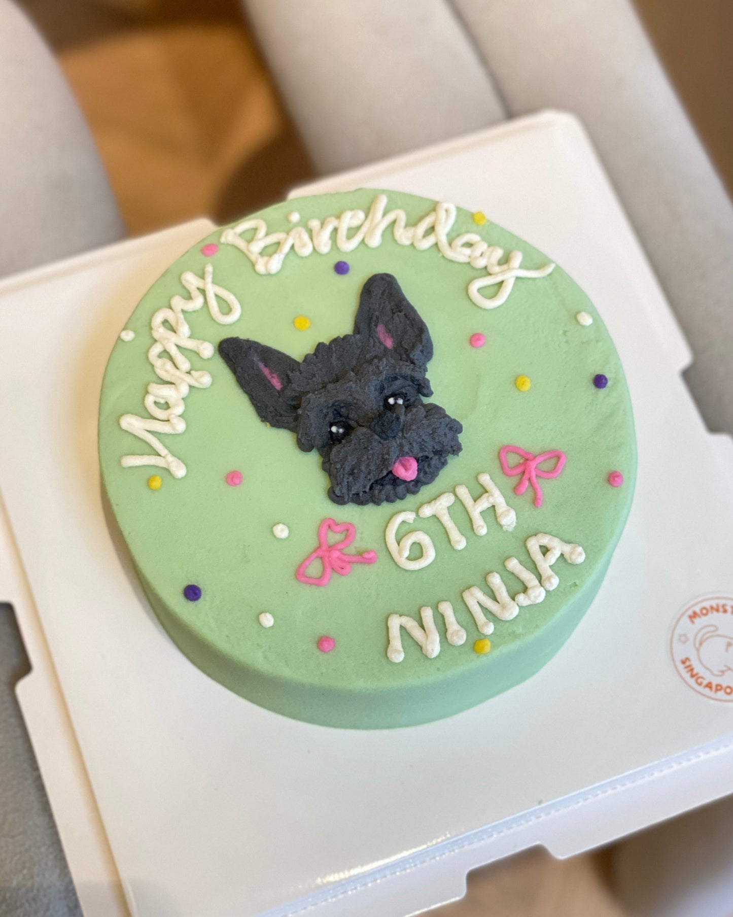 Plane Polka Dot Pet Cake