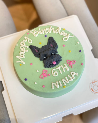 Plane Polka Dot Pet Cake