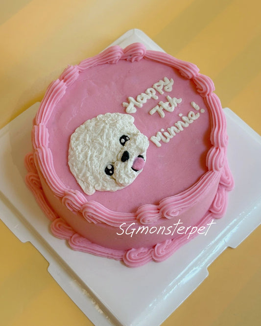 Plane Side Head Pet Cake