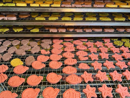 Dehydrated Salmon Ocean Biscuit