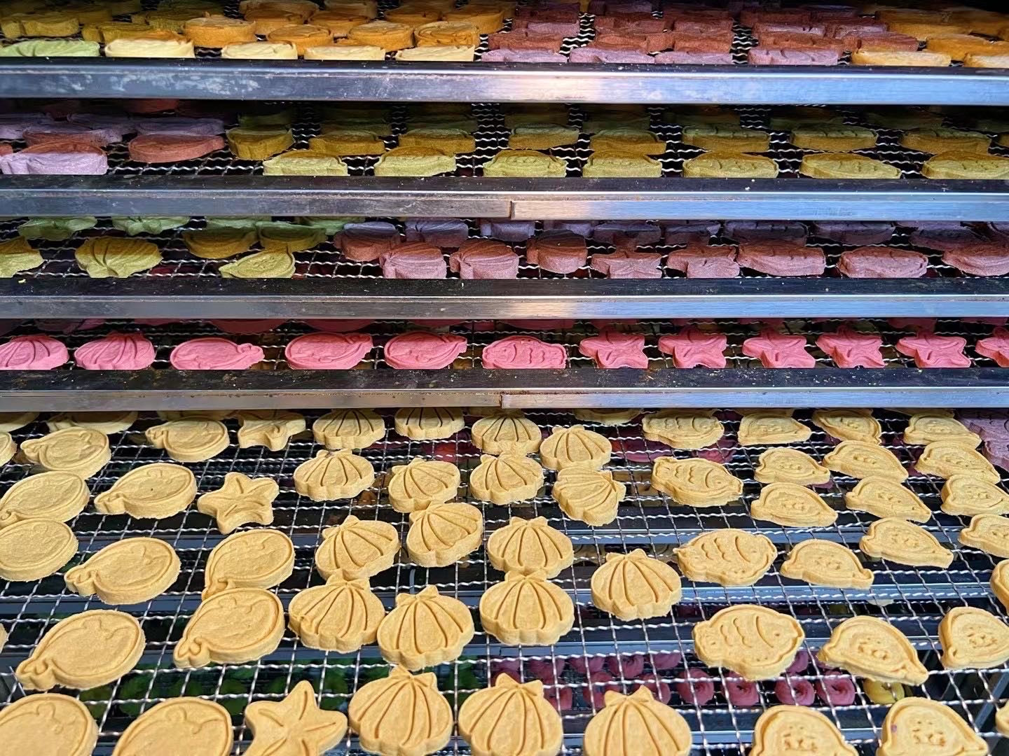 Dehydrated Salmon Ocean Biscuit