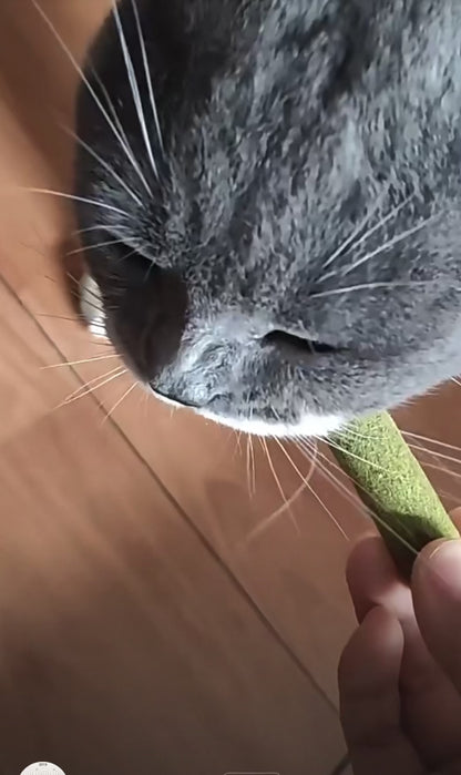 Freeze Dried Cat Grass Meaty Chew